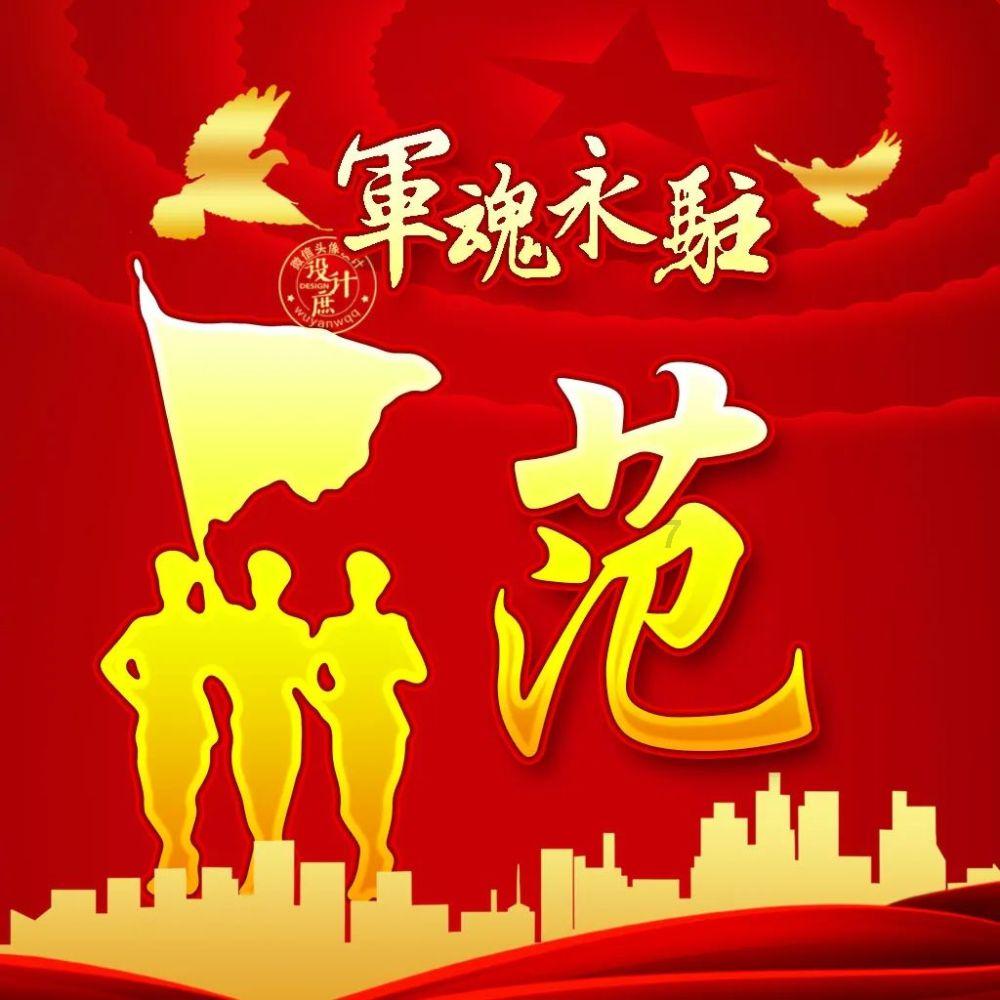 可怜猫的救援