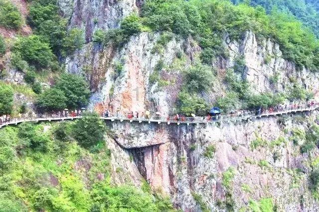 悬崖跳水运动
